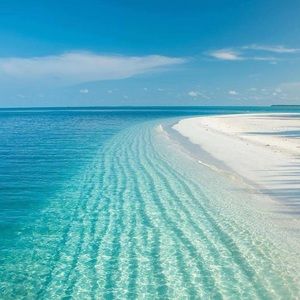 Meet your Posher, Aandres